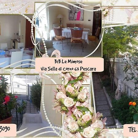 Bed and Breakfast Le Mimose Pescara Exteriér fotografie